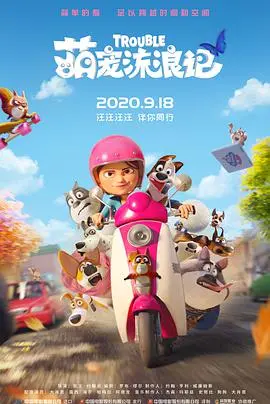 《萌宠流浪记》：暖心治愈！小狗的冒险之旅与家的真谛！