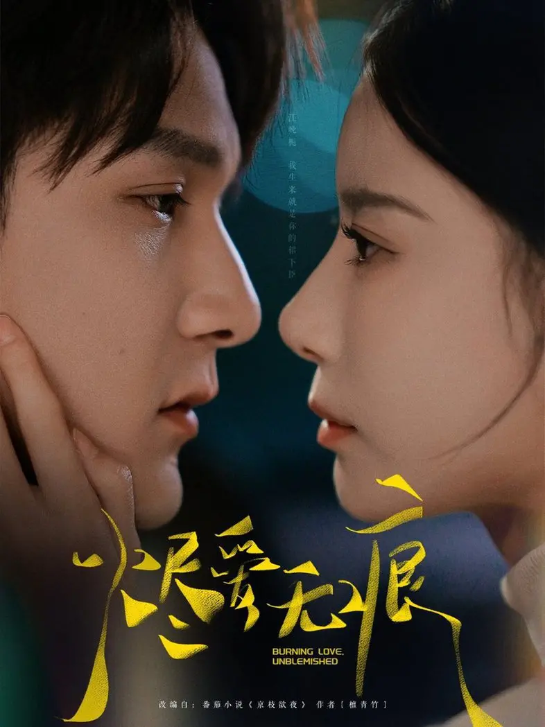 感人肺腑的爱情传奇《烬爱无痕》：从灰烬中重生的爱恋与情感救赎