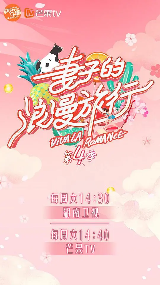 《妻子的浪漫旅行4Plus版》：一场治愈“乡愁”的温暖旅程，感受平凡生活的诗意与美好